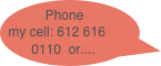 Phone my cell: 612 616 0110  or....