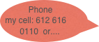 Phone my cell: 612 616 0110  or....